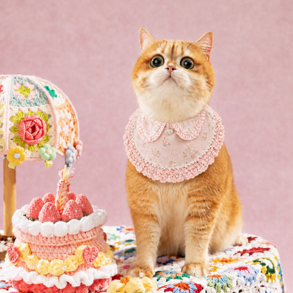 Ella –  Pink Lace Dress for Pets | Soft, Elegant, Comfortable