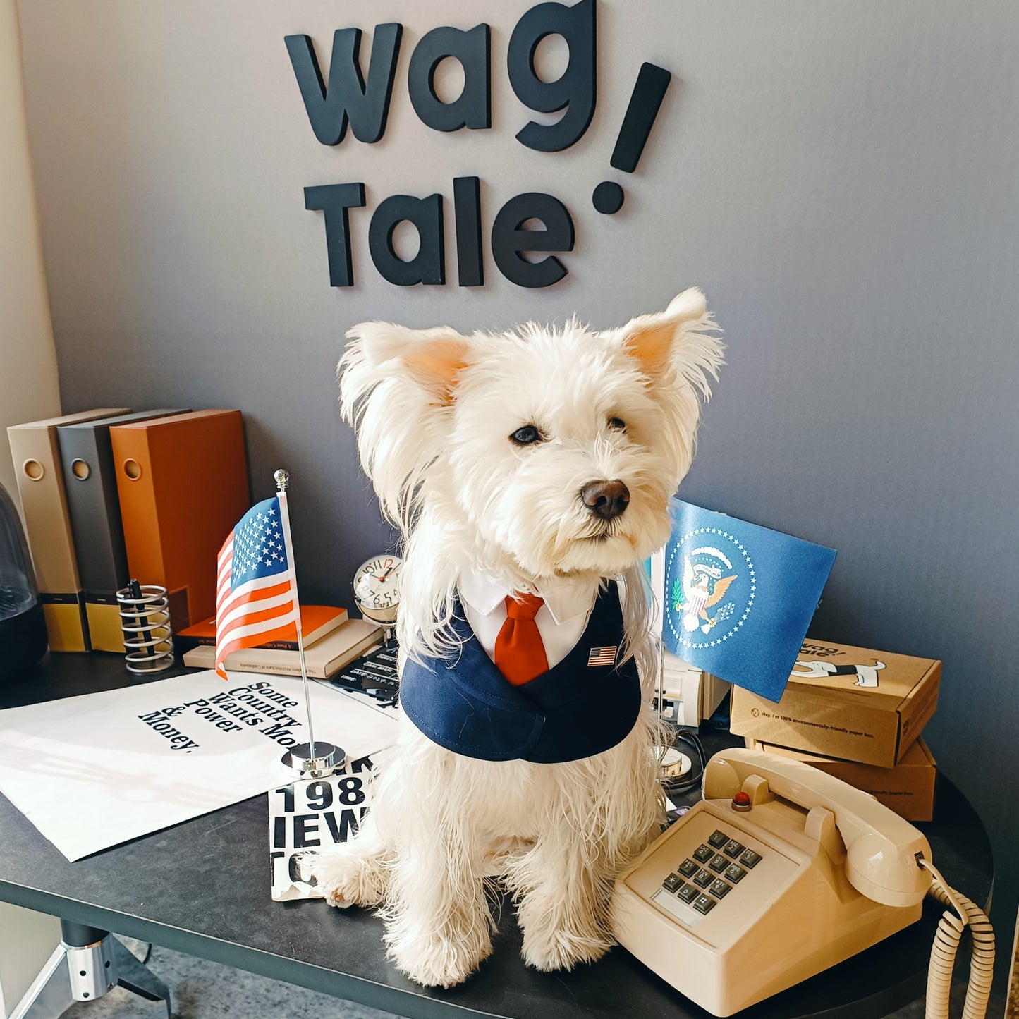 President – Red & Blue Tie Dog Suit | Formal Style