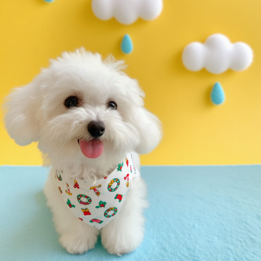 Avery – Christmas Bandana for Dogs | Holiday Style