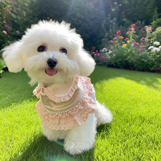 Ella –  Pink Lace Dress for Pets | Soft, Elegant, Comfortable
