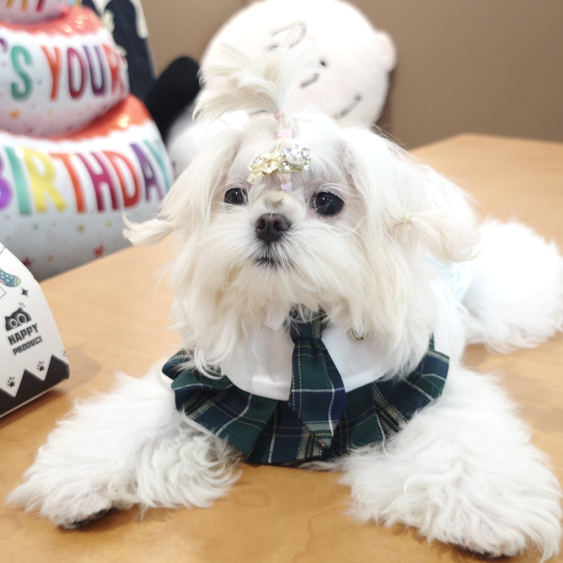 Emma School Girl Uniform for Dogs & Cats | Handmade Pet Clothing Luko Luko Emma School Girl Uniform for Dogs & Cats | Handmade Pet Clothing Luko Luko