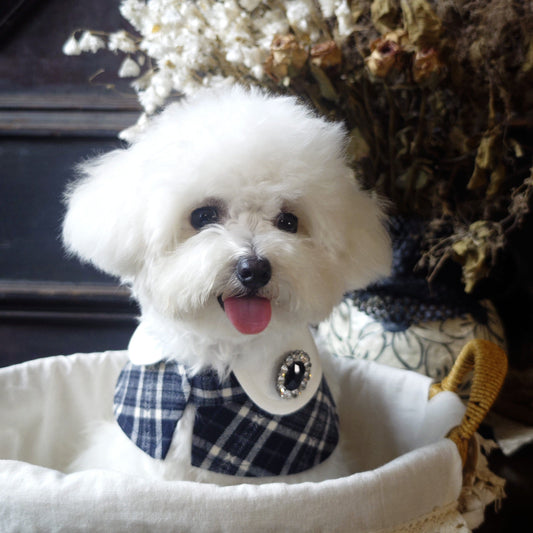 Sophie-French Elegance Cape Bandana with Optional Brooches