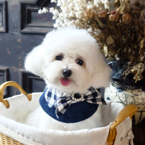 Jessie - Denim Bow Dog Cape | Western Charm & Stylish Design