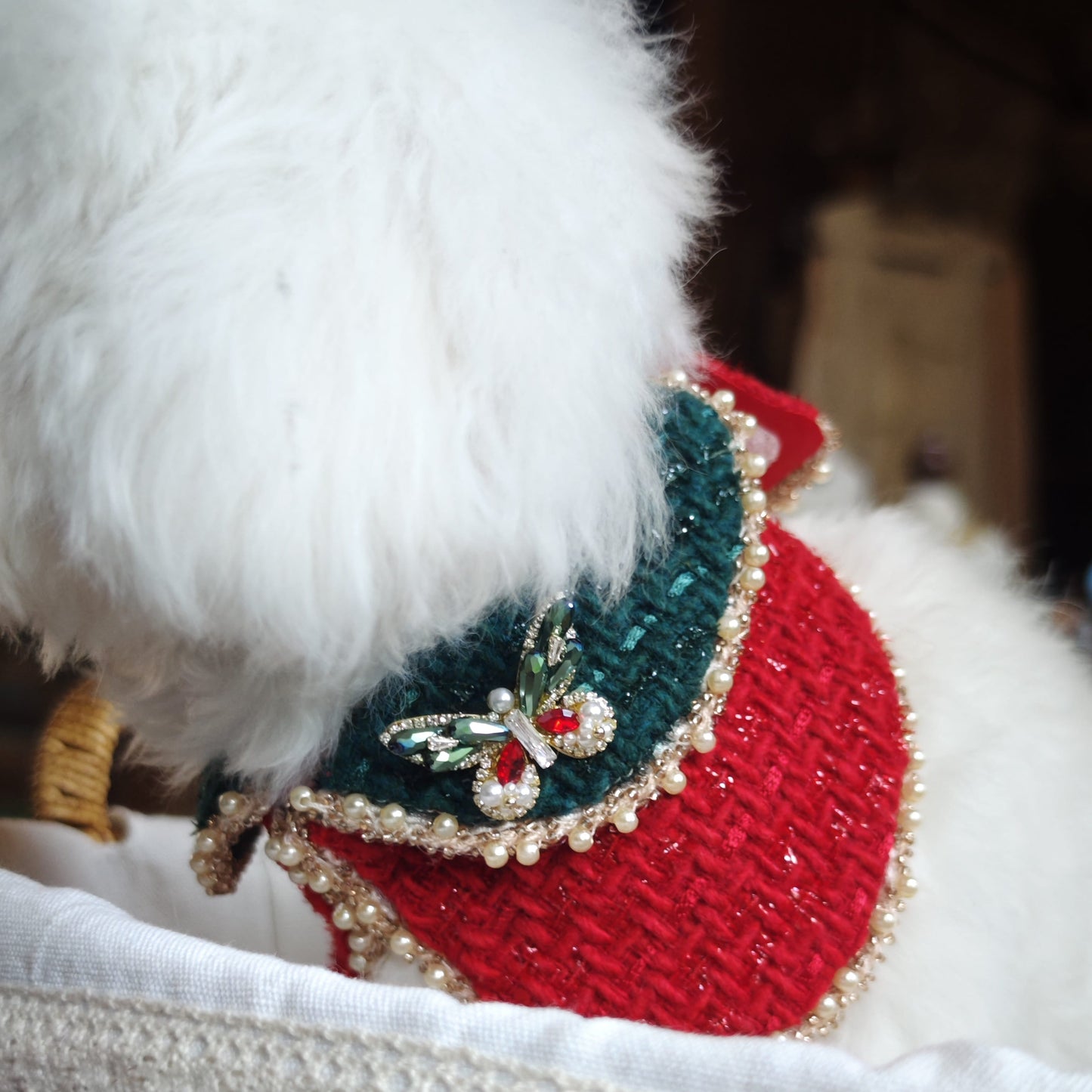 Festiva Wing – Red & Green Butterfly Brooch for Dogs | Holiday Party Accent