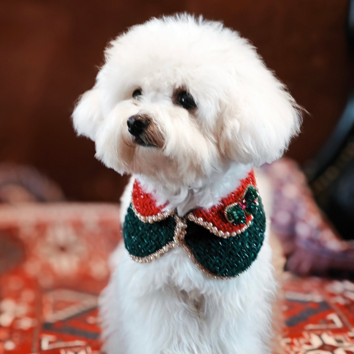 Emerald Noel – Green & Red Crystal Bow Brooch for Dogs | Festive Holiday Accent