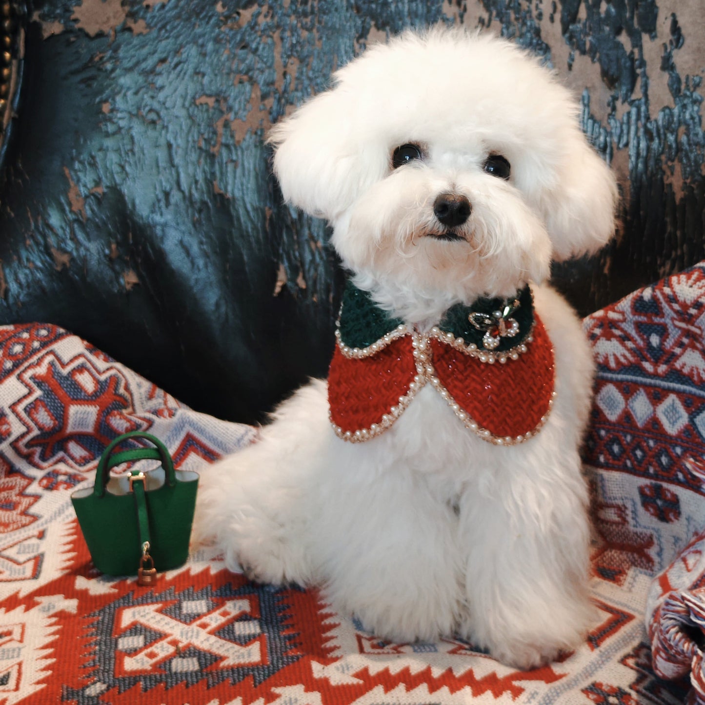 Festiva Wing – Red & Green Butterfly Brooch for Dogs | Holiday Party Accent