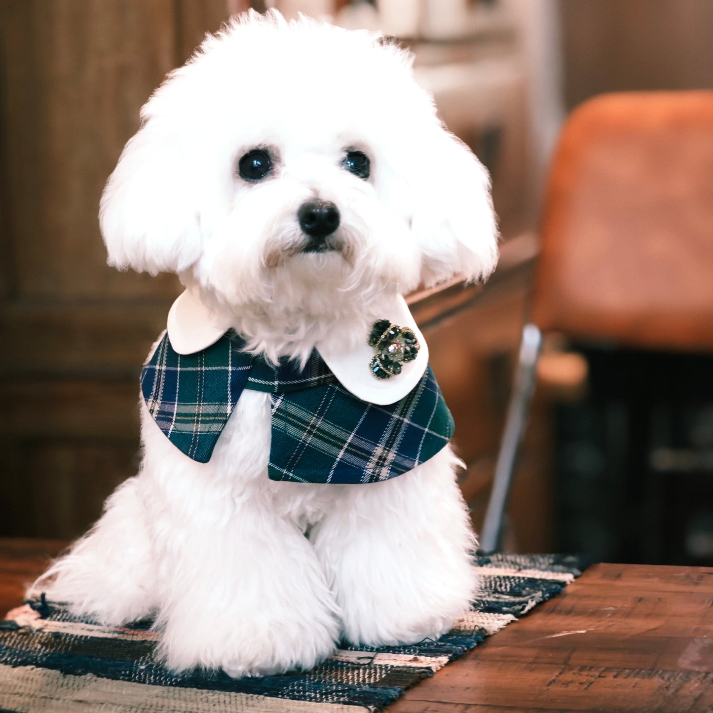 Emerald Veil – Handmade Crystal Flower Brooch | Refined Accent for Green Outfits