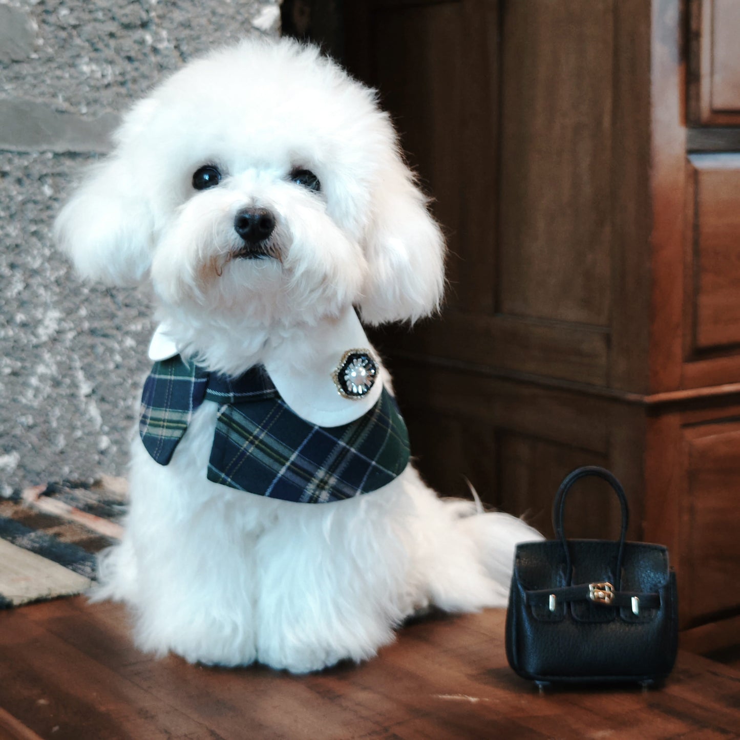 Nocturne Radiance – Pearl & Crystal Brooch for Dogs | Elegant Vintage Accent