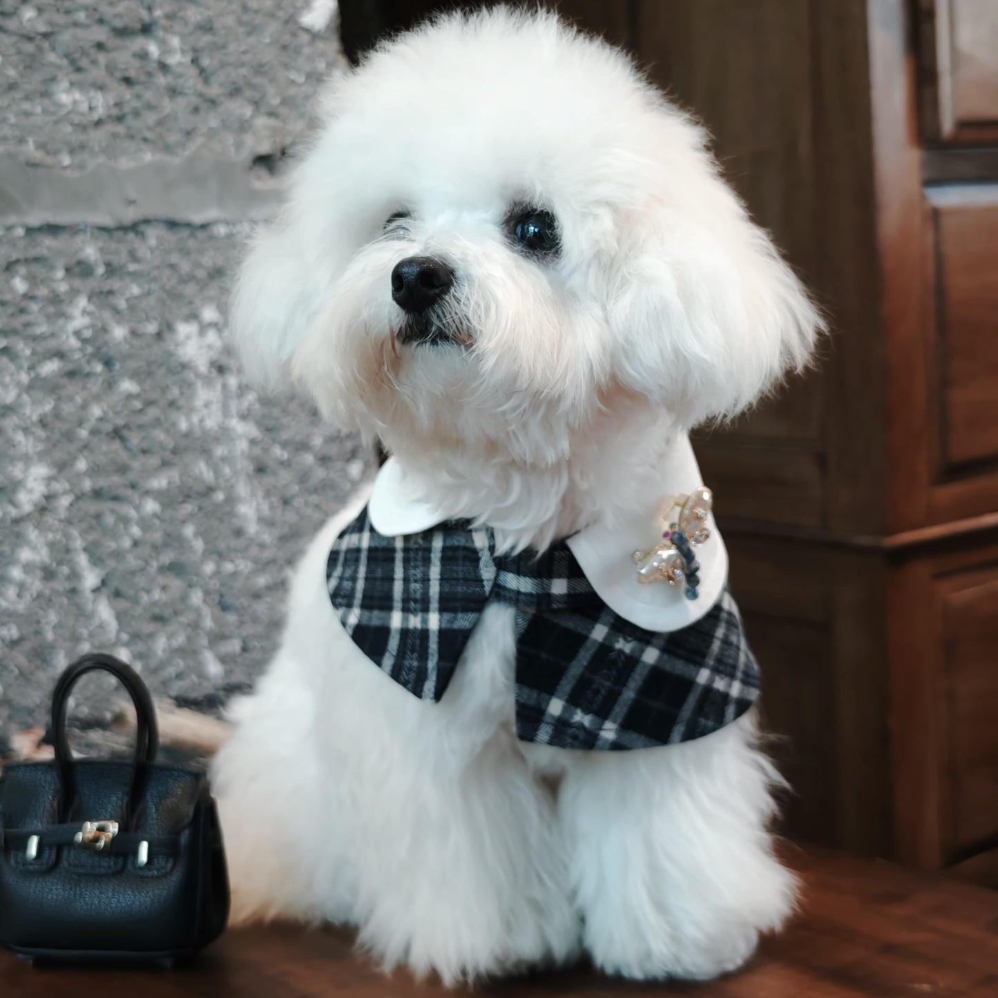 Azure Dragonfly | Handmade Pearl & Crystal Brooch for Dogs | Elegant Blue Accent