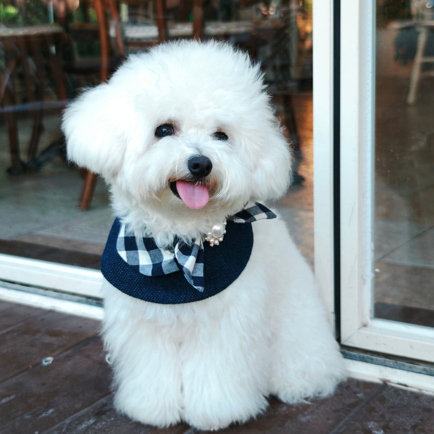 Jessie - Denim Bow Dog Cape | Western Charm & Stylish Design