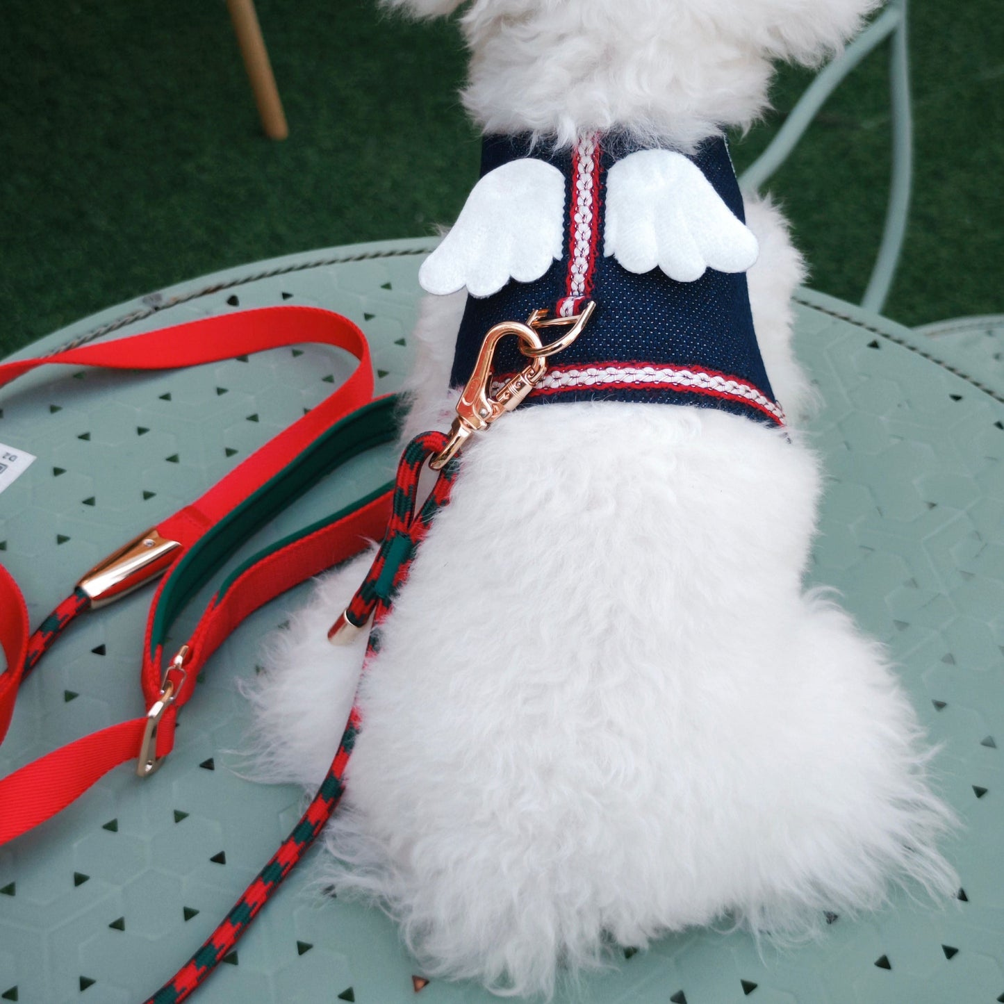 Harper – Premium Dog Leash