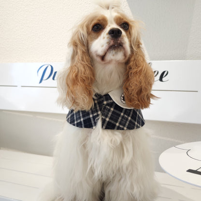 Sophie-French Elegance Cape Bandana with Optional Brooches