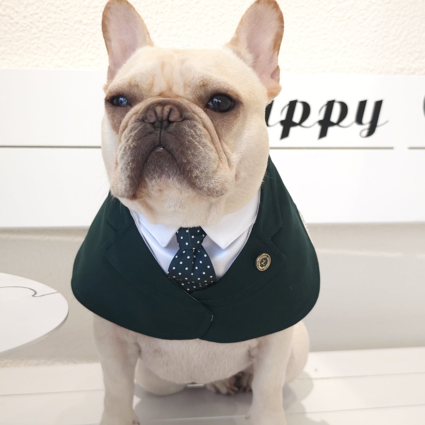 Windsor – Burgundy & Green Dog Suit | Elegant Outfit