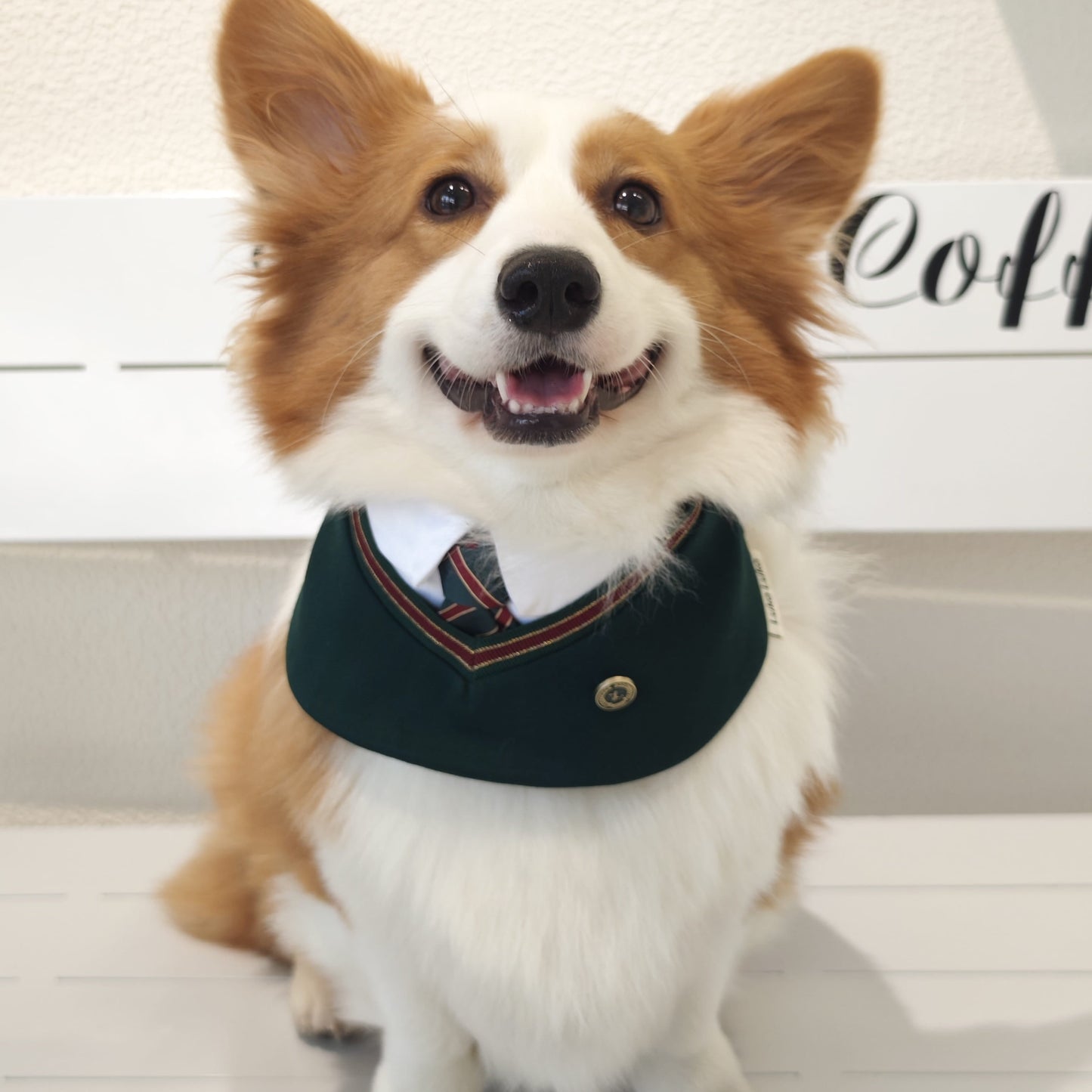 Ivy – Red & Green Preppy Dog Bandana | Stylish Occasion Wear