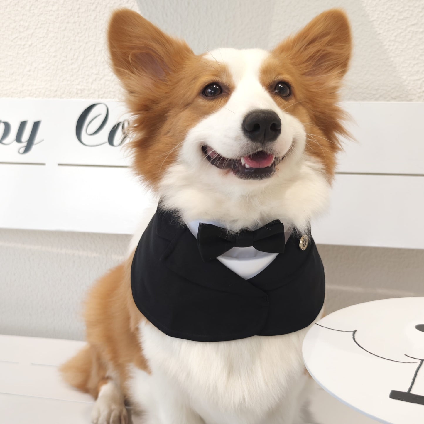 Oxford – Bowtie Suit for Dogs  | Elegant Formal Pet Outfit