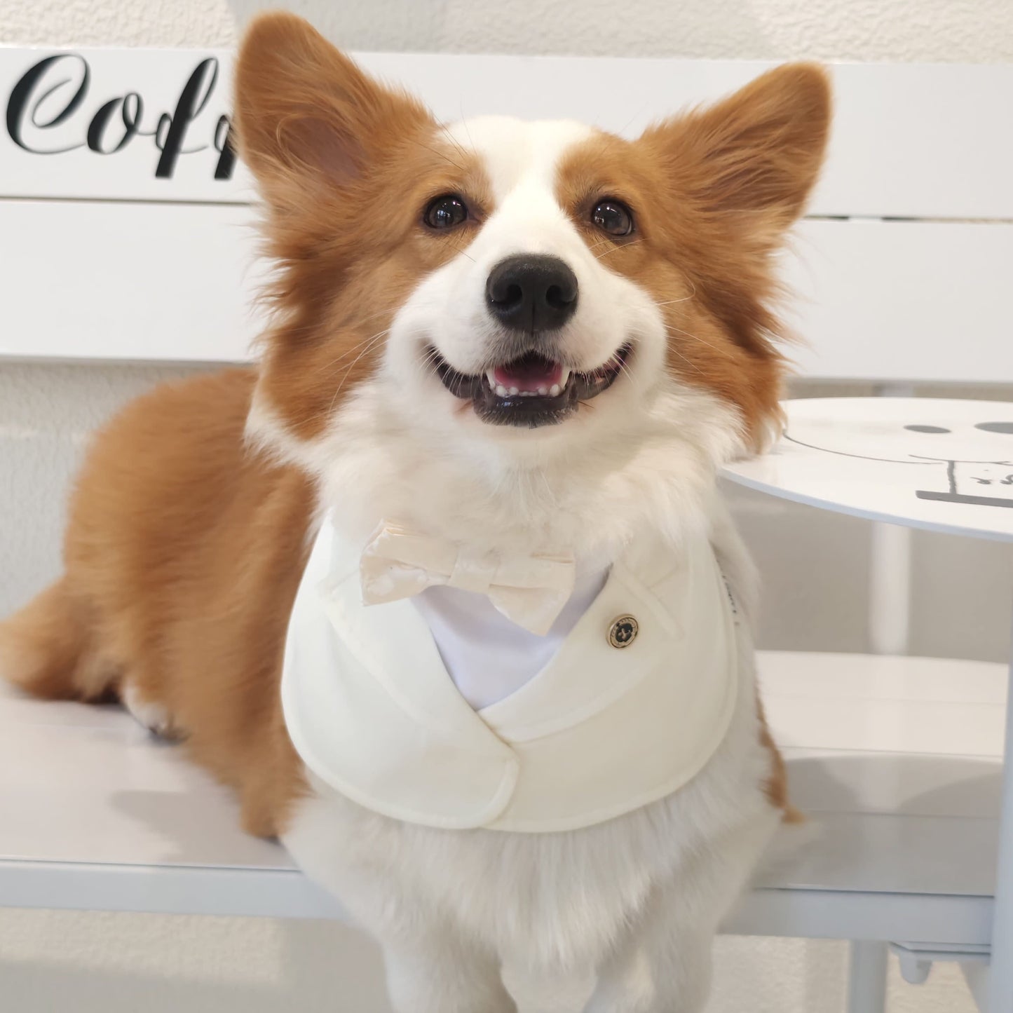 Oxford – Bowtie Suit for Dogs  | Elegant Formal Pet Outfit