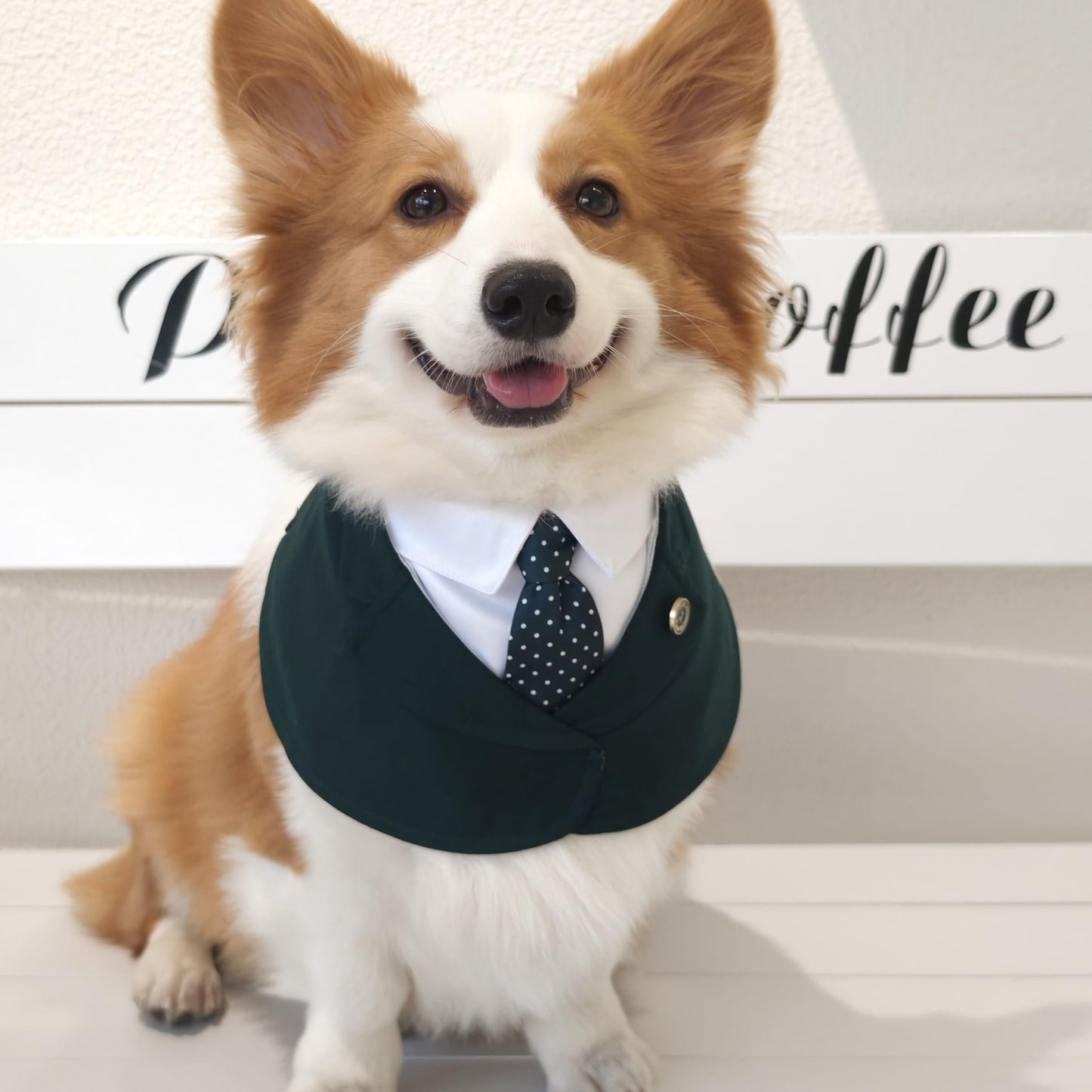 Windsor – Burgundy & Green Dog Suit | Elegant Outfit