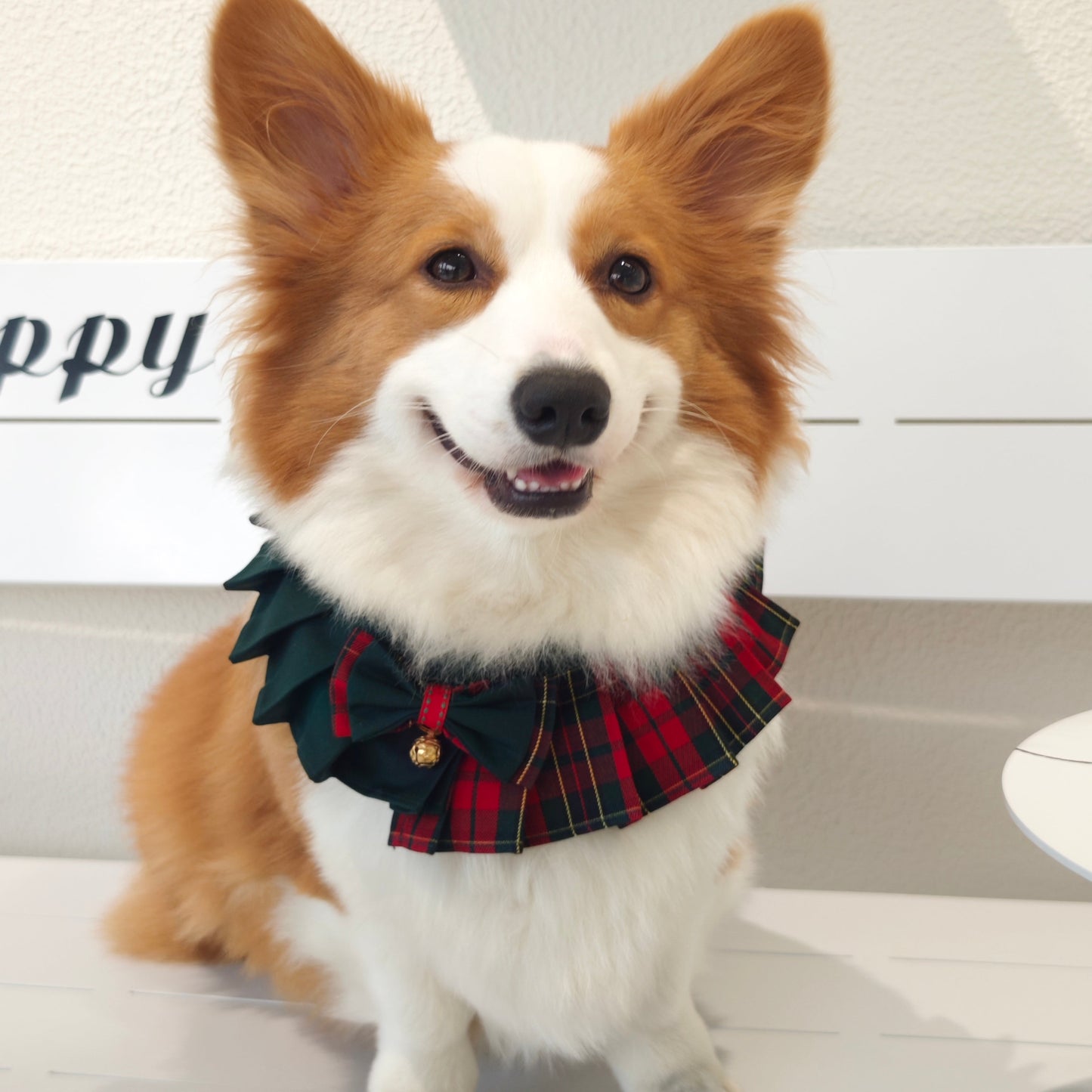 Noelle – Red & Green Plaid Dog Dress | Christmas Holiday Style