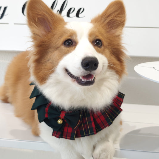 Noelle – Red & Green Plaid Dog Dress | Christmas Holiday Style