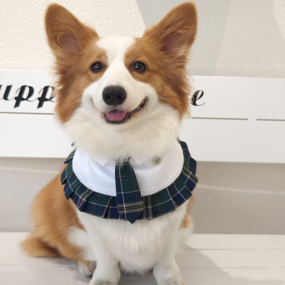 Emma – Schoolgirl Dog Outfit | Adorable Pet Uniform