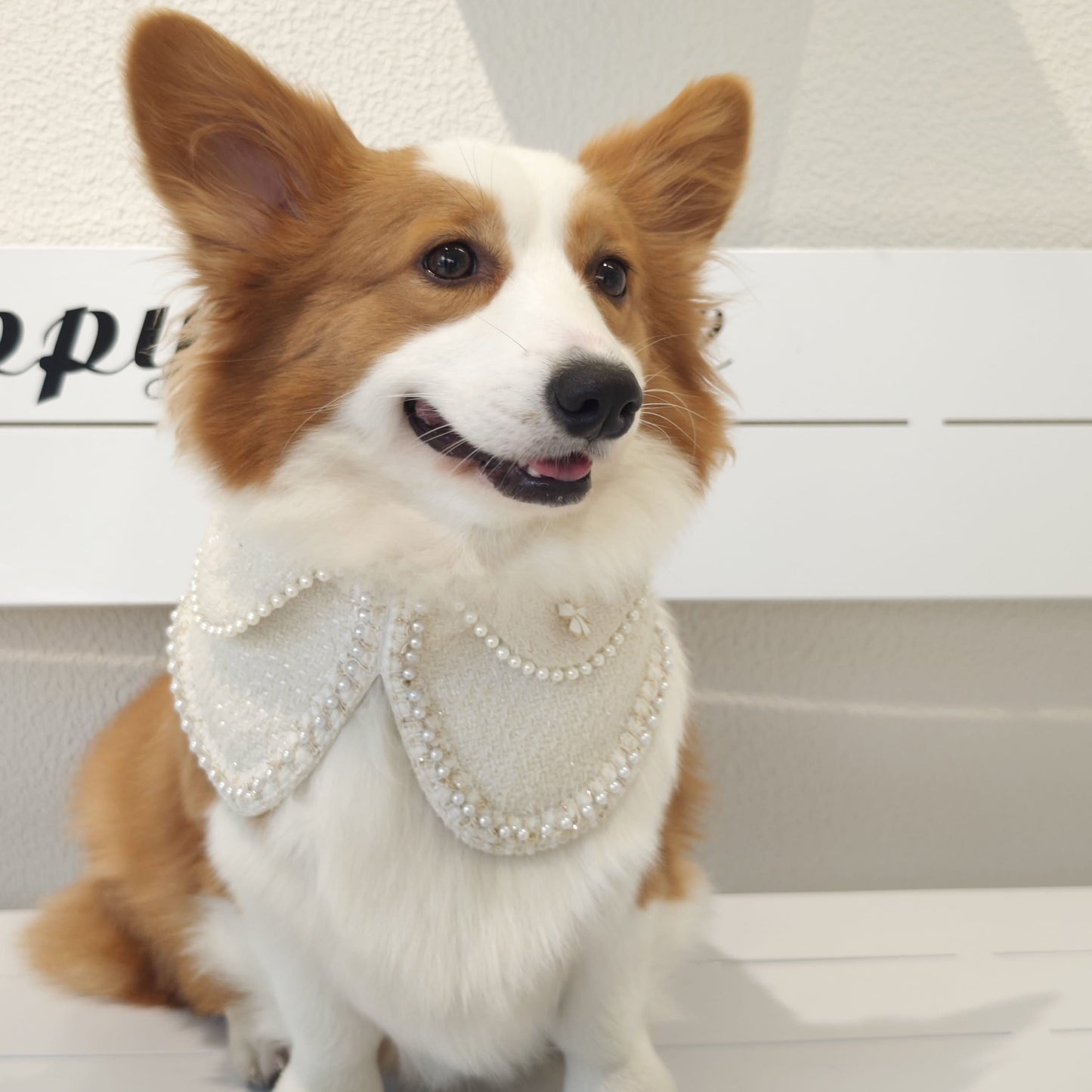 Jacqueline – Black & White Pearl Dog Jacket | Chic Formal Look