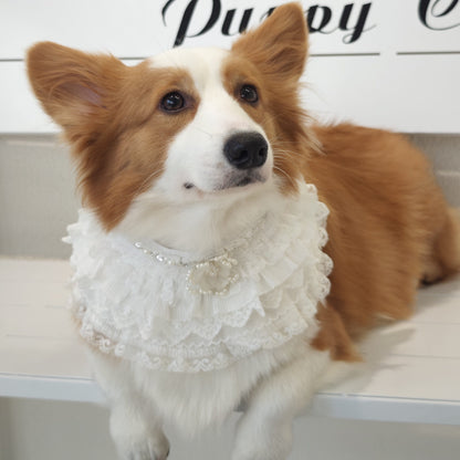 Juliette – Lace Dog Dress | Elegant Formal Style