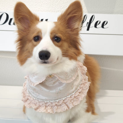 Ella –  Pink Lace Dress for Pets | Soft, Elegant, Comfortable