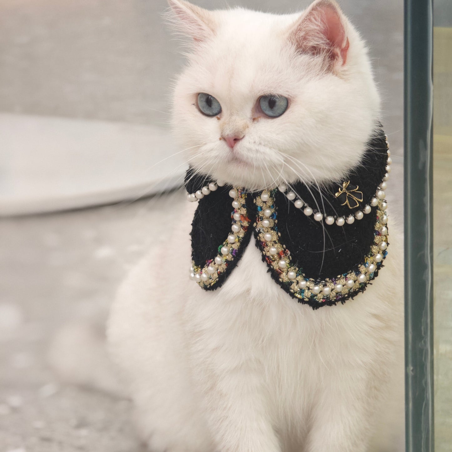 Jacqueline – Black & White Pearl Dog Jacket | Chic Formal Look