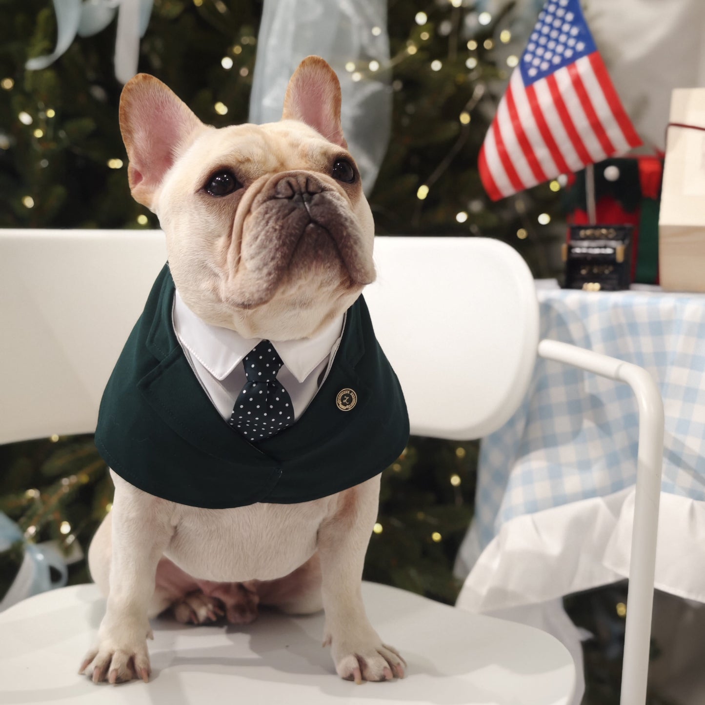 Windsor – Burgundy & Green Dog Suit | Elegant Outfit