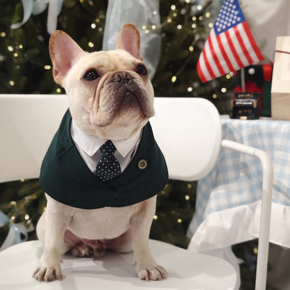 Windsor – Burgundy & Green Dog Suit | Elegant Outfit
