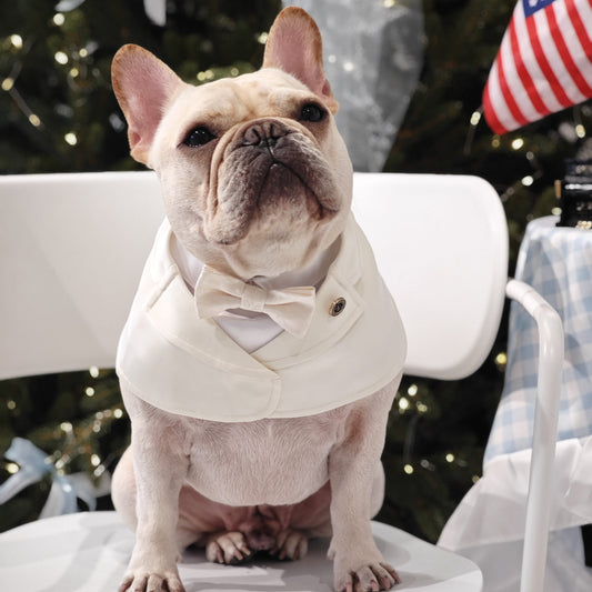 Oxford – Bowtie Suit for Dogs  | Elegant Formal Pet Outfit