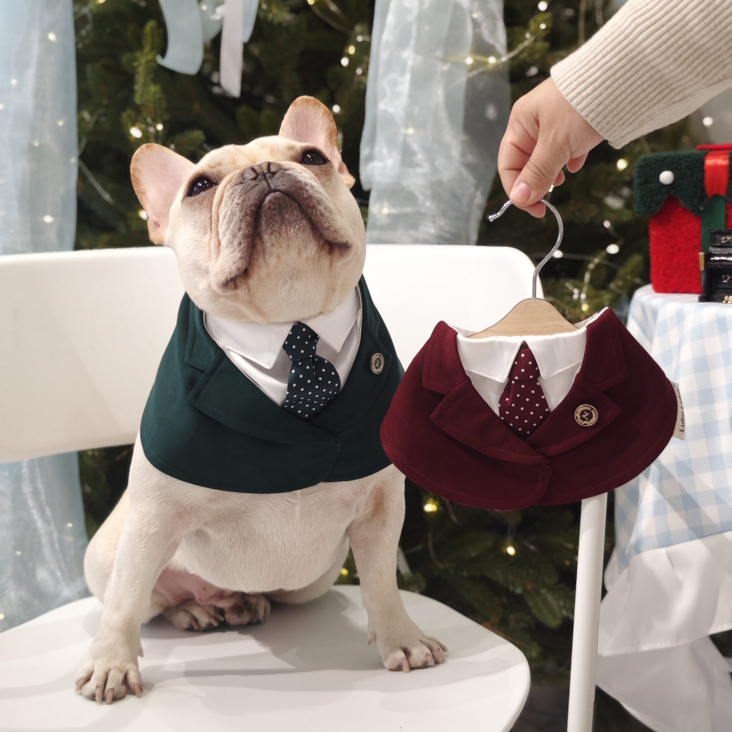 Windsor – Burgundy & Green Dog Suit | Elegant Outfit
