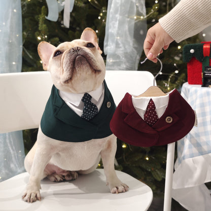 Windsor – Burgundy & Green Dog Suit | Elegant Outfit