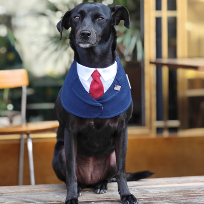 President – Red & Blue Tie Dog Suit | Formal Style