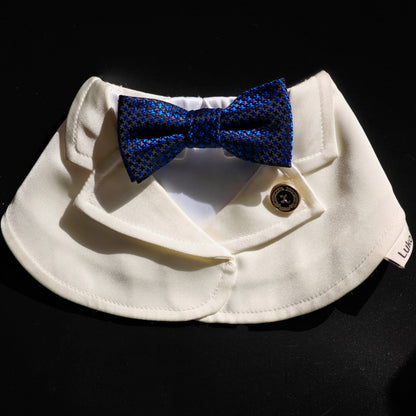 James – Blue Textured Bow Tie