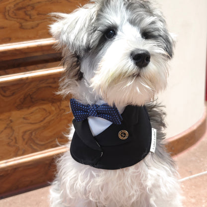 James – Blue Textured Bow Tie