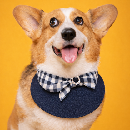 Jessie - Denim Bow Dog Cape | Western Charm & Stylish Design