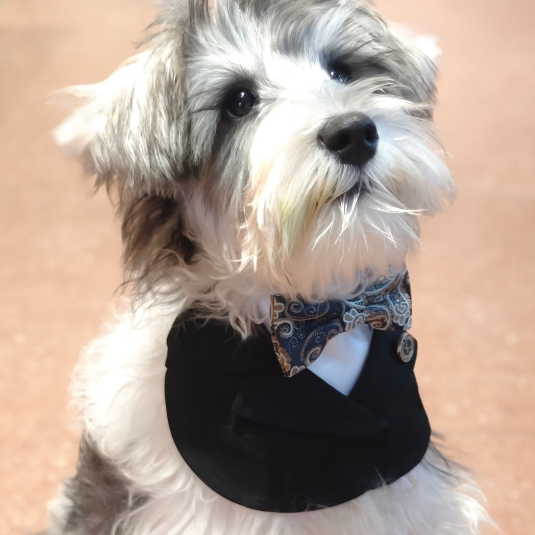 Oliver – Paisley Bow Tie