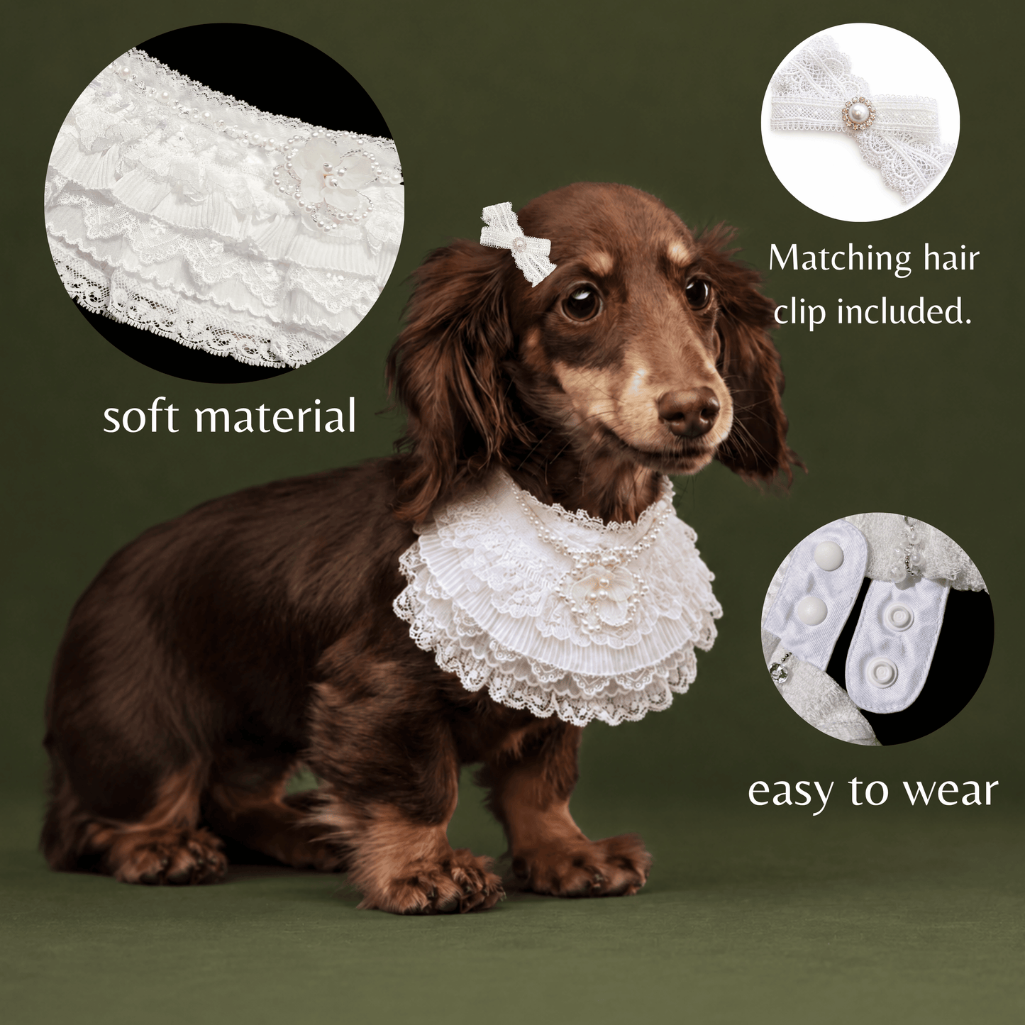 Juliette – Lace Dog Dress | Elegant Formal Style