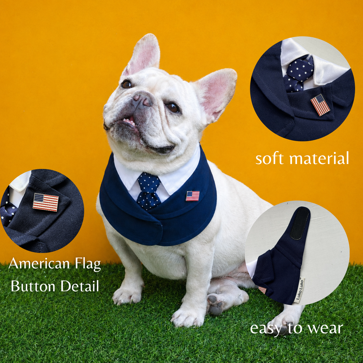 President – Red & Blue Tie Dog Suit | Formal Style