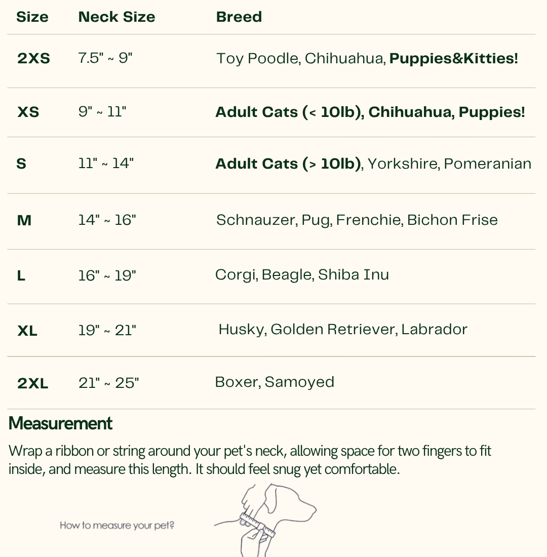 Juliette – Lace Dog Dress | Elegant Formal Style