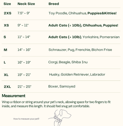 Juliette – Lace Dog Dress | Elegant Formal Style