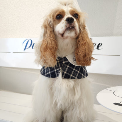 Sophie-French Elegance Cape Bandana with Optional Brooches