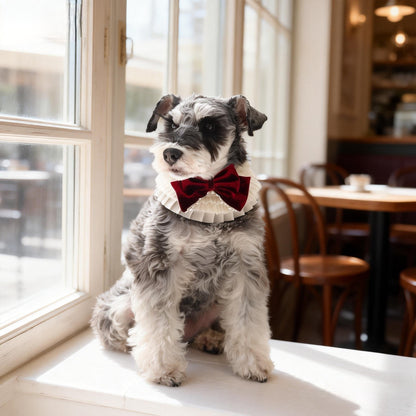 Barbara – Sweet Valentine Elegance Lace Collar with Bow Options