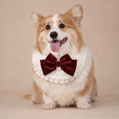 Barbara – Sweet Valentine Elegance Lace Collar with Bow Options