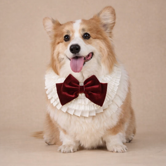 Barbara – Sweet Valentine Elegance Lace Collar with Bow Options