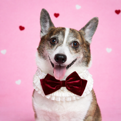 Barbara – Sweet Valentine Elegance Lace Collar with Bow Options