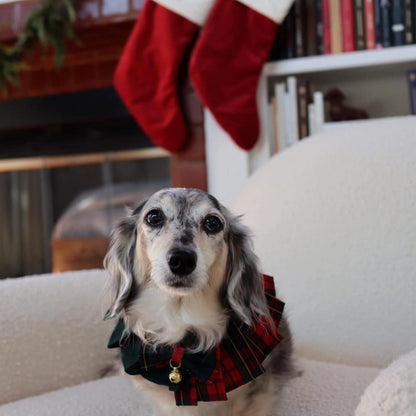 Noelle – Red & Green Plaid Dog Dress | Christmas Holiday Style