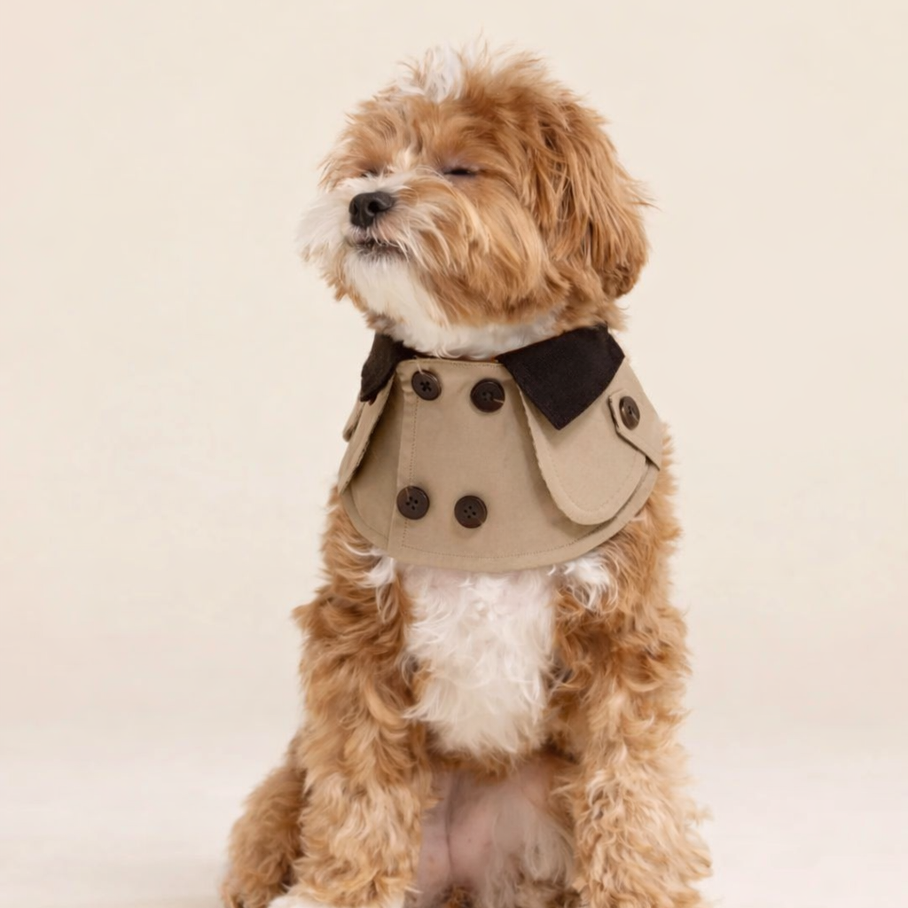 Edward – Handmade British Trench Coat One-Piece for Dogs