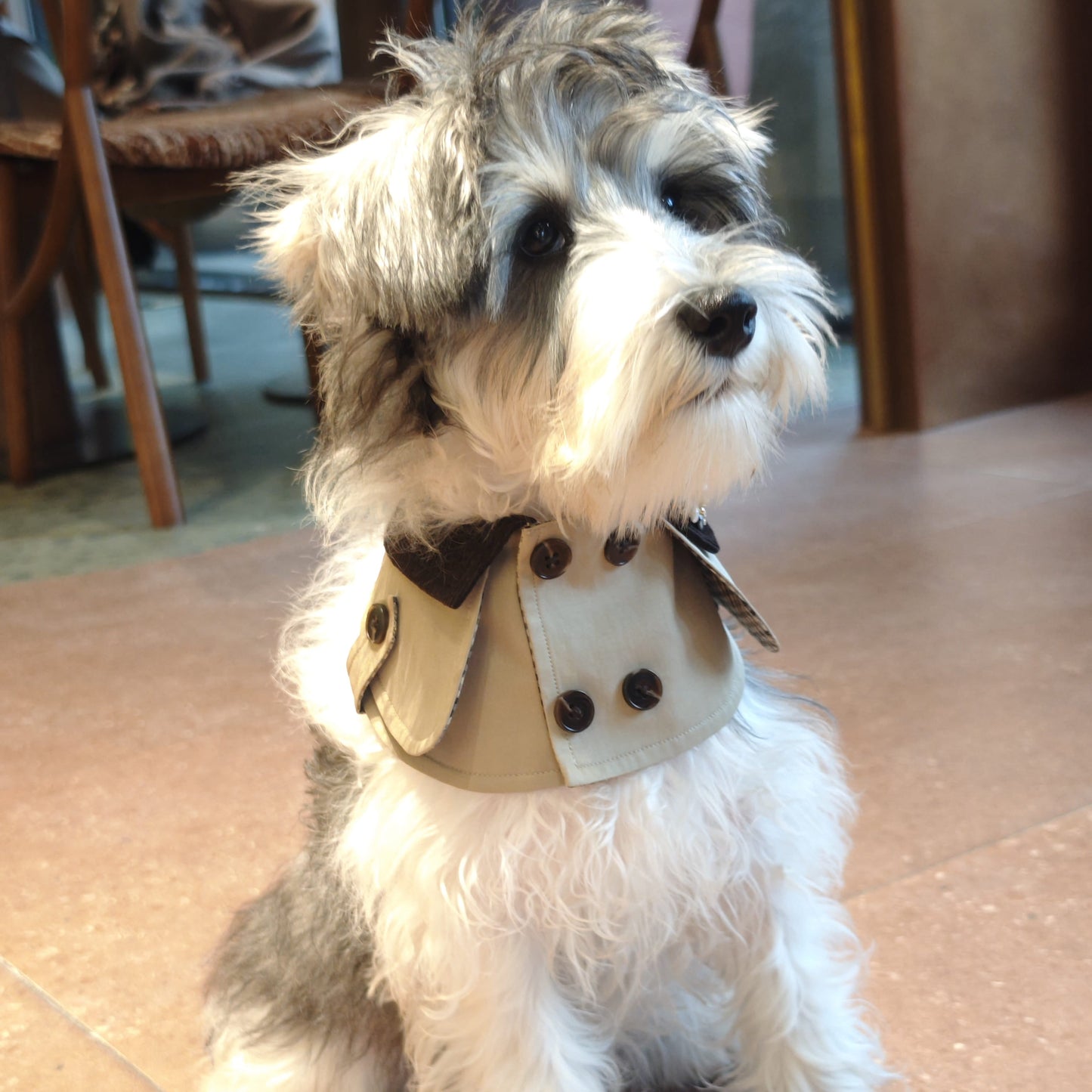 Edward – Handmade British Trench Coat One-Piece for Dogs
